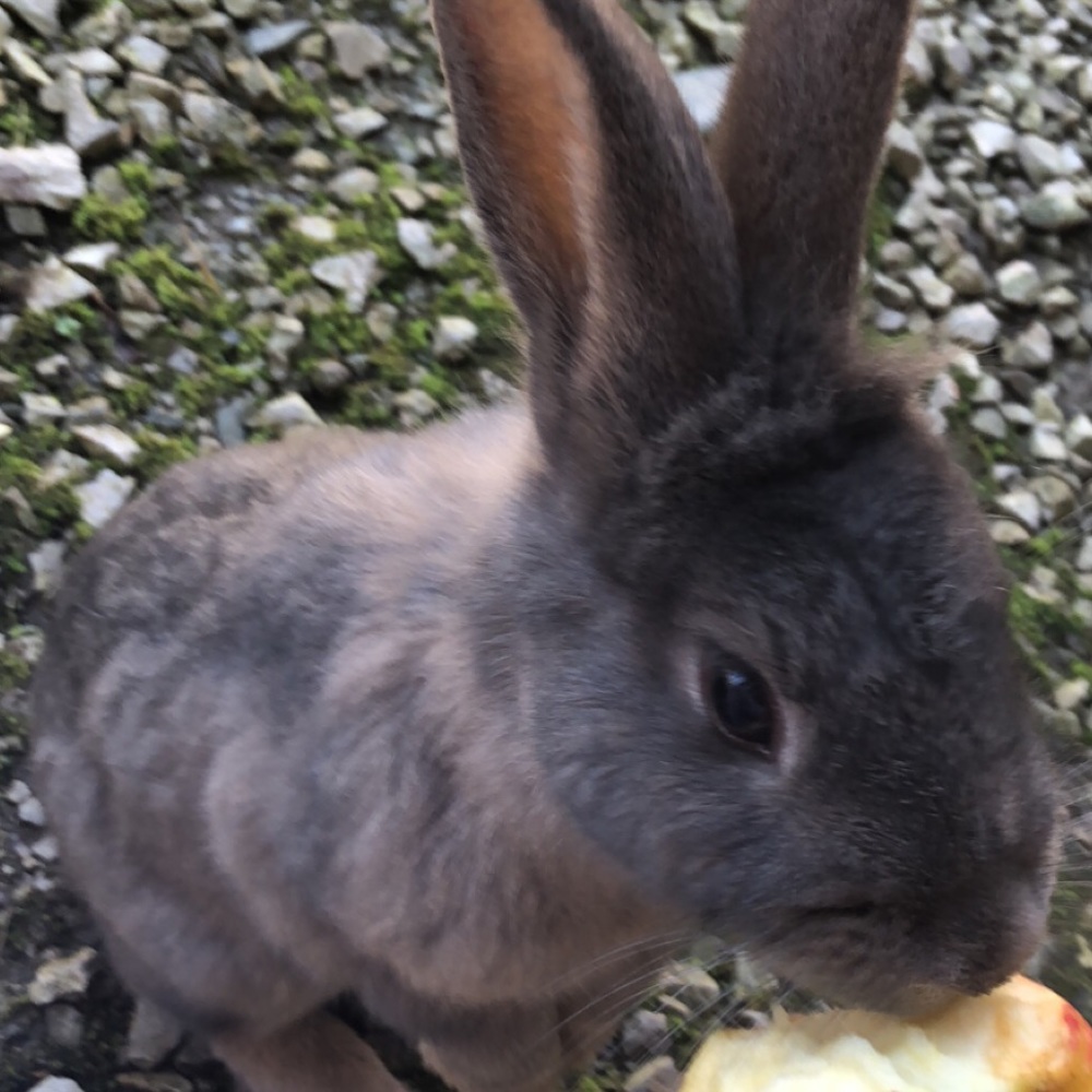 Meet your Posher, Makamakayla